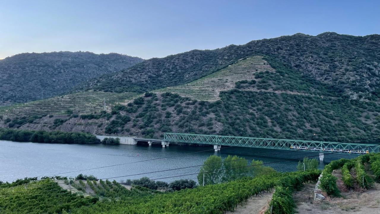 My Grandmas A Casa Das Avos Vale de Figueira المظهر الخارجي الصورة